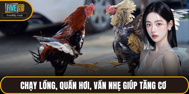 Chạy lồng, quần hơi, vần nhẹ giúp tăng cơ 