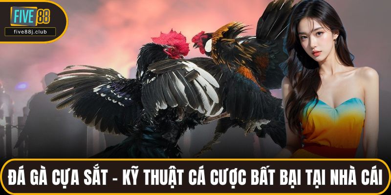 Đá gà cựa sắt