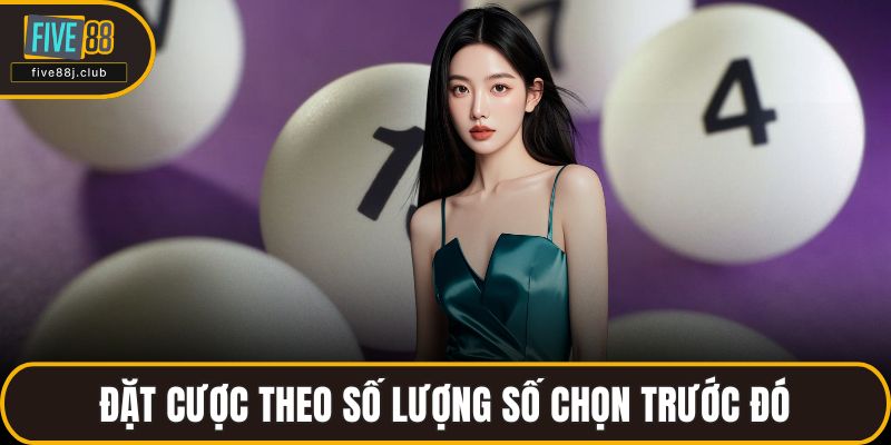 Đặt cược theo số lượng số chọn trước đó