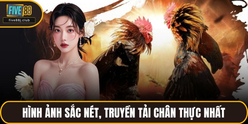 Hình ảnh sắc nét, truyền tải chân thực nhất