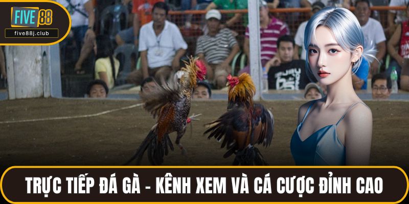 Trực tiếp đá gà