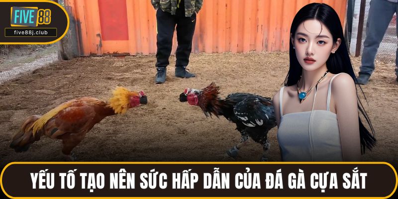 Yếu tố tạo nên sức hấp dẫn của đá gà cựa sắt